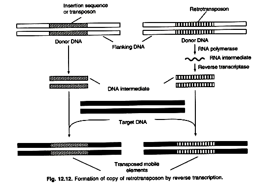 Microbial bioprocessing of coal and coal processing effluents 