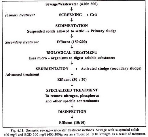 Report dealing with Probiotics