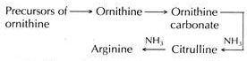Understanding the Application of Proteomics