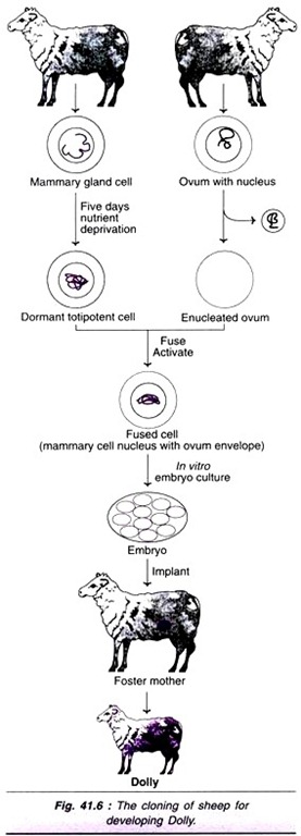 Comparison of the density