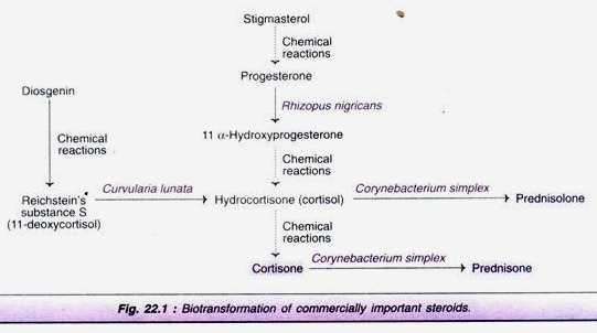 Fungal Enzymes of Commercial Importance