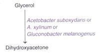 Formation of Knockout Mice