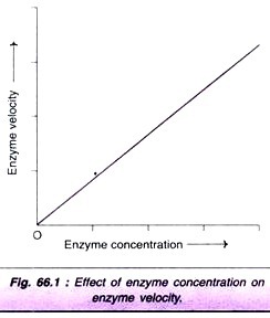 Single-Base Change Resulting a Sickle-Cell Anemia