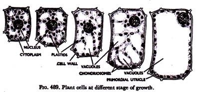 Generalized fermentation process 