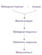 Principle of a biosensor