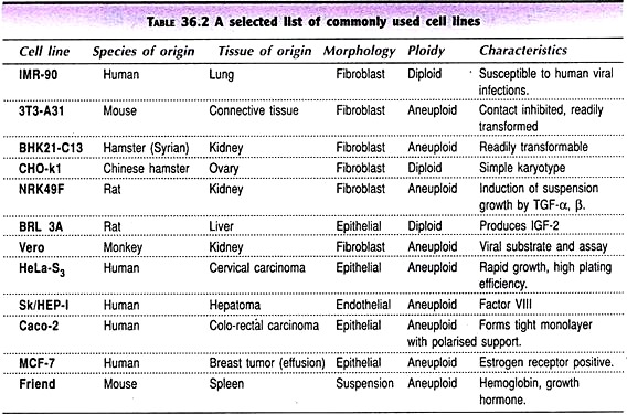 Commonly Used Cell Lines