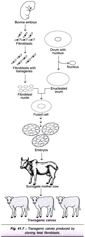 Examples of Recombinant Proteins