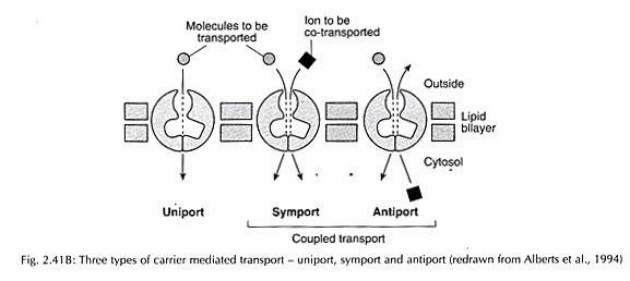 Filtration Processes