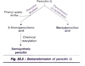 PCR-Amplified Oligonucleotide-Directed Mutagenesis