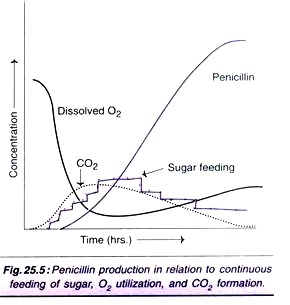 Penicillin Production