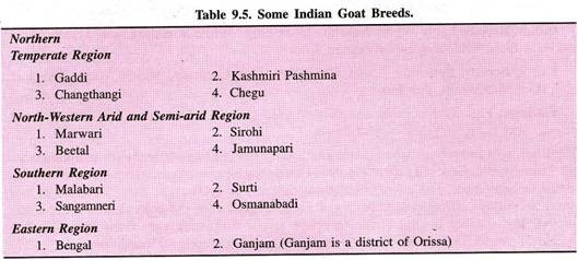 Gene Rearrangement