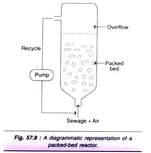 Packed-Bed Reactor