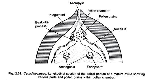 Protein Structure