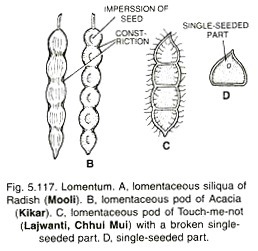 Immunobiosensors