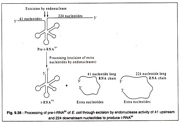 Production Chart for Chlortetracycline