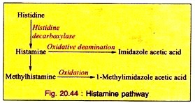 Biochemical Changes during the Process of Tomato Ripening