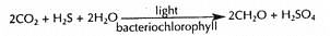 Technique by Pyrosequencing