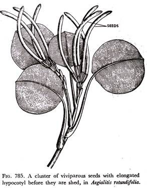 Biological Phosphorus Removal