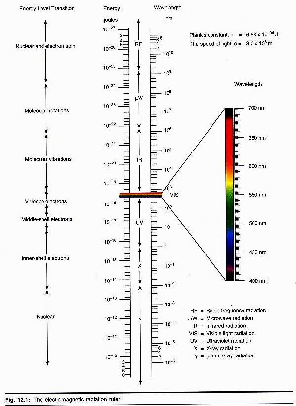 Electromagnetic Radiation Ruler