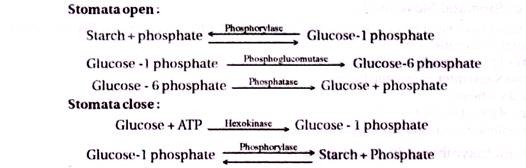  Starch Sugar Interconversion Part 3