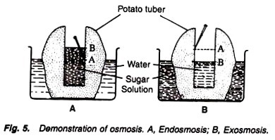 Effect of Inhibitors on a Coupled Enzyme Reaction