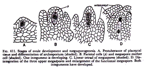 clip_image014_thumb1