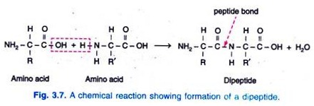 Immunophenotyping