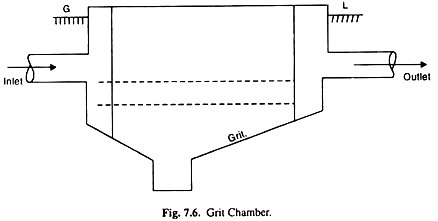 A portion of Canna scape in transverse sections