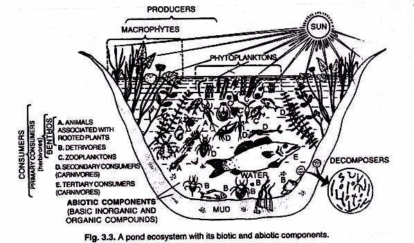 image_thumb14_thumb