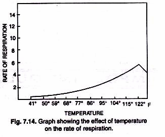 Graph showing the effect of temperature on the rate of respiration