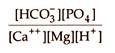 Codon-Anticodon Base Pairing