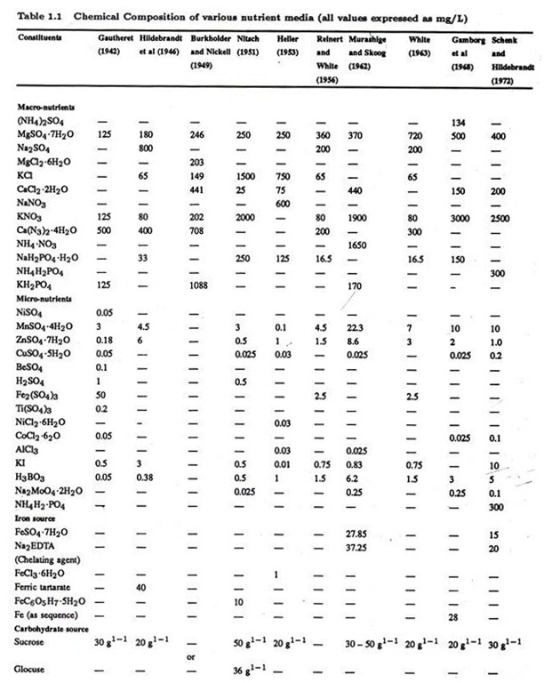 Use of Dip-Pen Lithography and DNA