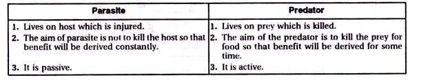 Gene Cloned for Protein and Use