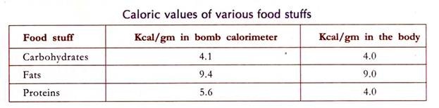 Caloric Values of Various Food Stuffs