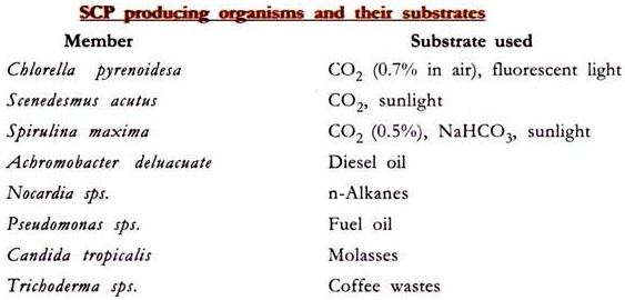 SCP Producing Organisms and Their Substrates