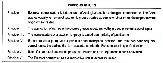 Mechanism of Iron Absorption