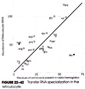 Rhodopsin Cycle