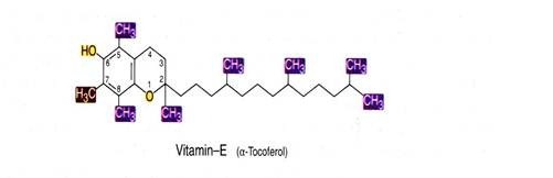 Vitamin-E