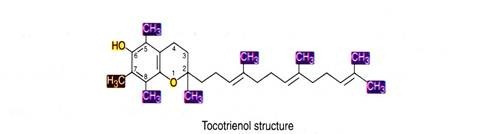 Tocotrienol Structure