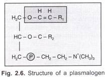 Transposition Involving Reverse Transcripation