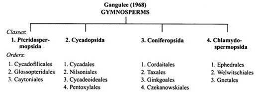 Gangulee (1968) Gymnosperms
