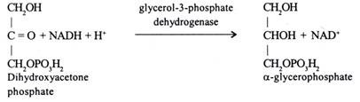 Dihydroxyacetone phosphate 