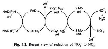 Recent view of reduction of NO3 to NO2