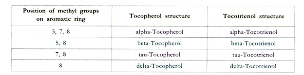 Cycas. Structure and development of male gametophyte