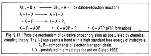 Schemes to explain chemical coupling theory