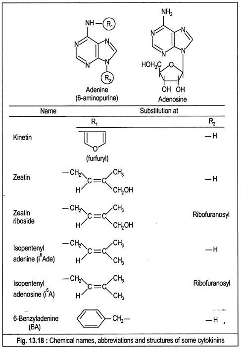 Chemical Names, Abbreviations and Structures