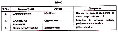 Electrophoretic Analysis