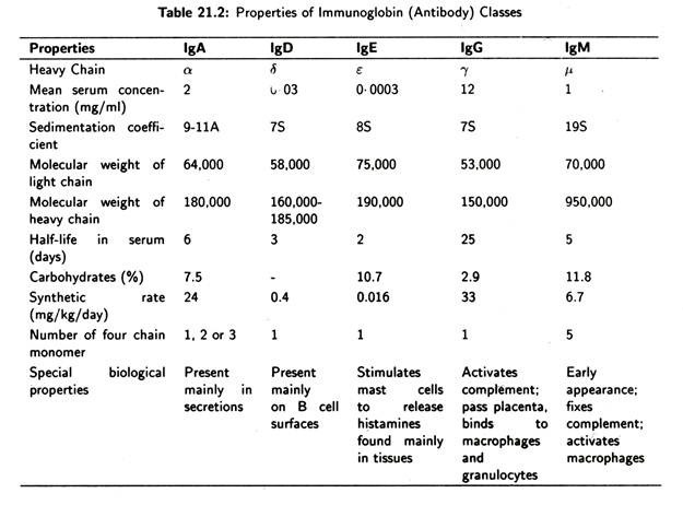 Properties of immunoglobin classes