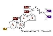 Formation of RUBISCO Assembly