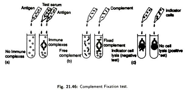 Complement Fixation Test